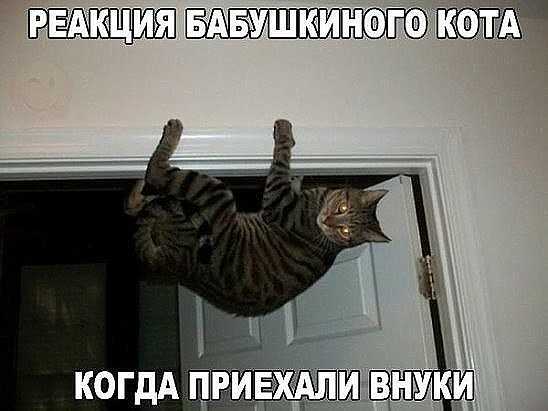 АиБ южного МЕХ