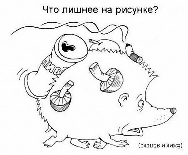 Что лишнее на рисунке