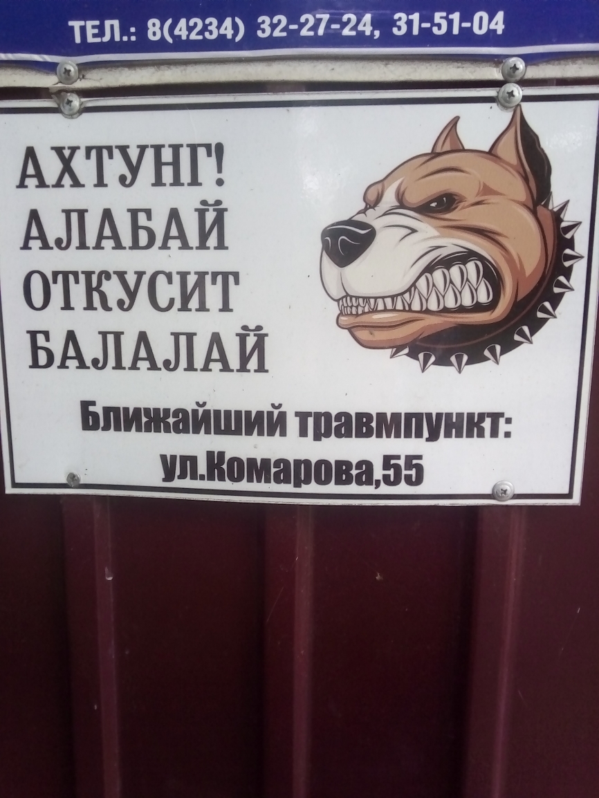 ТЕЛ 84234 32 27 24 31 51 04 АЛАБАЙ ОТКУСИТ БАЛАЛАЙ Ближайший тпавмпунит ипюмапова55