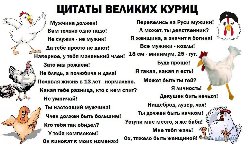 ЦИТАТЫ ВЕЛИКИХ КУРИЦ

Мужчина должен!  
Вам только одно надо!  
Не служи - не мужик!  
Да тебе просто не дадут!  

Наверное, у тебя маленький мужик!  
Зато мы жырокем!  

Не бляда, а половина и ада!  
Полоскаешь с 13 лет - нормально.  
Какая тебе разница, кто с кем спит?  

Не умирай!  

Ты настоящий мужик!  
Как тебя зовут!?  
Ты должен быть козлом!  

Перевелись на Руси мужики!  
А может, ты девственник?  
Я женщина, а значит и богиня!  

Все мужики - козлы!  
18 см - минимум, 25 - нюг!  

Будь проще!  
Я такая, как есть!  
Может быть ты гей?  

Я единственная!  

Девушки быть нельзя!  

Ты должен быть таким!  

Услуги мне, видите ли!  
Мне надо всем!  

Ох, ты только ведь женщина!