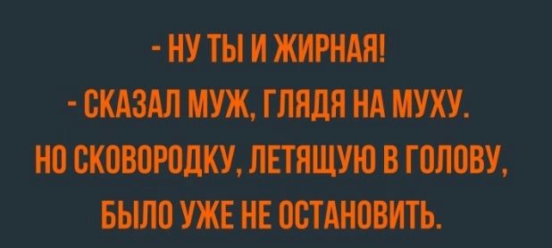 ШЩ ЩГПШ_ птицтт тім