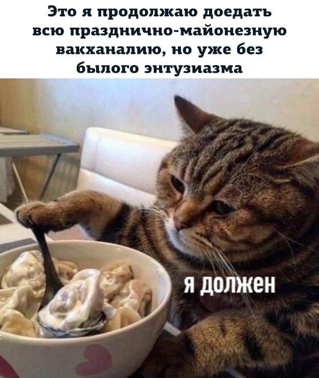 Это я продолжаю доедать всю празднично майонезную вакханалию но уже без былого энтузиазма Я должен