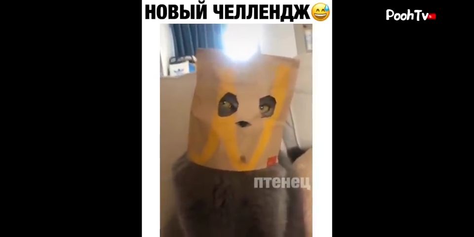 новый чылвнще рьту
