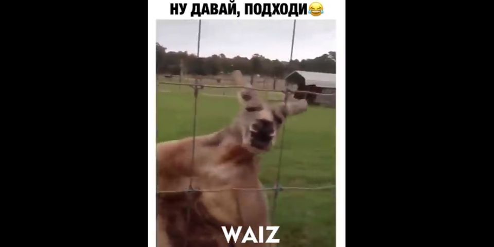 иу дАВАИ подходи _