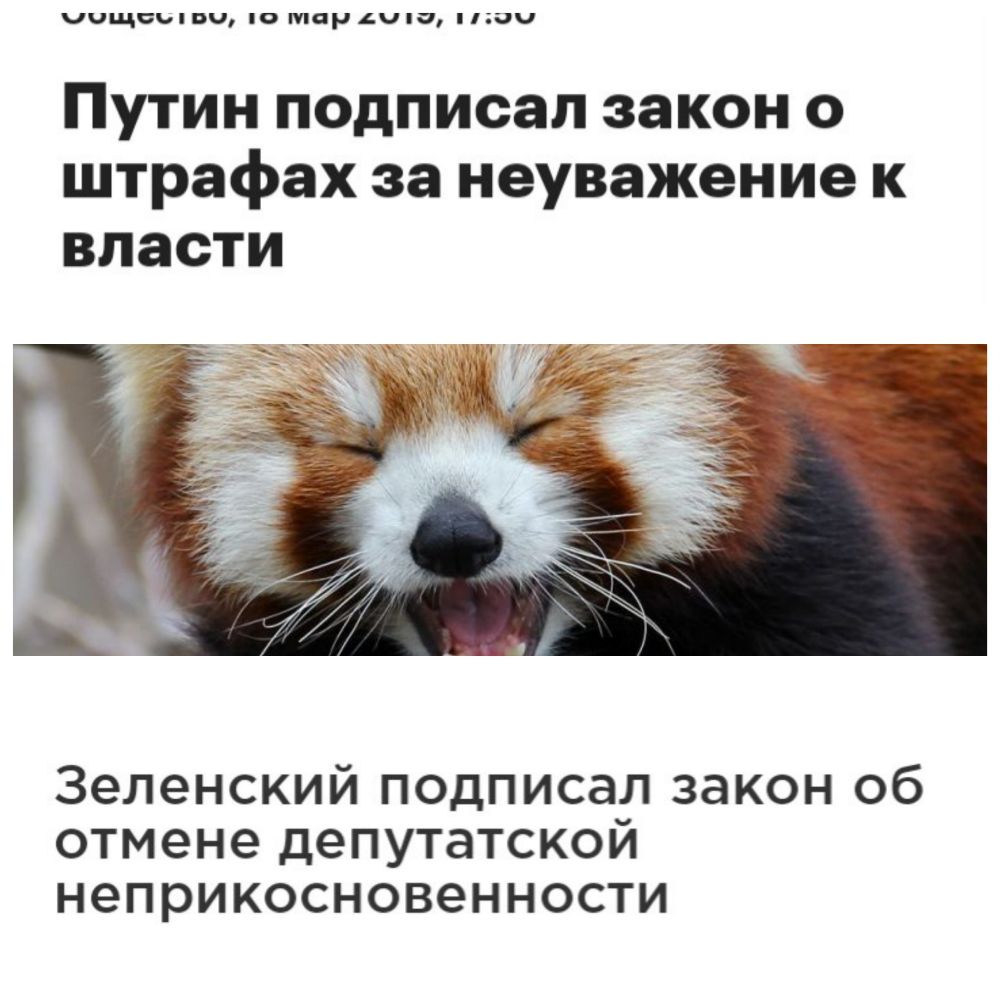 ччщцилпч о тар Ачпа плач Путин подписал закон о штрафах за неуважение к ВЛЗСТИ Зеленский подписал закон об отмене депутатской неприкосновенности