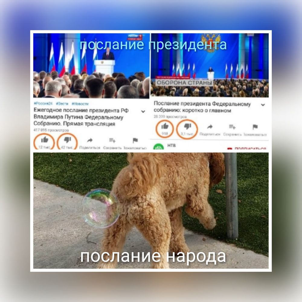 д С ЭНЁё ЭЗИ а тс р д _ н шиншил Шапи1А__0шгу у ЁЖРГП11ПГП4МНу ппП11 ш у _ имт Пппиа пыл Шипы пц д _ _