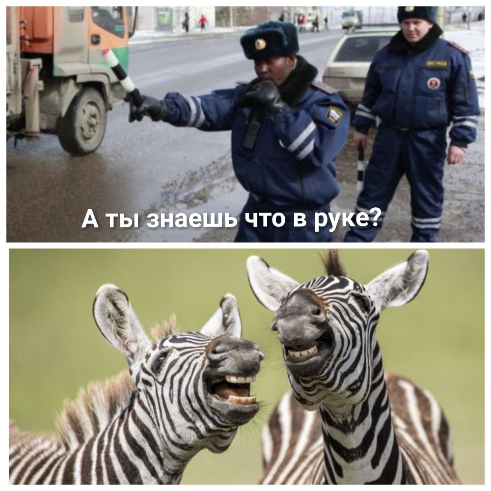 дна что в ринге я __