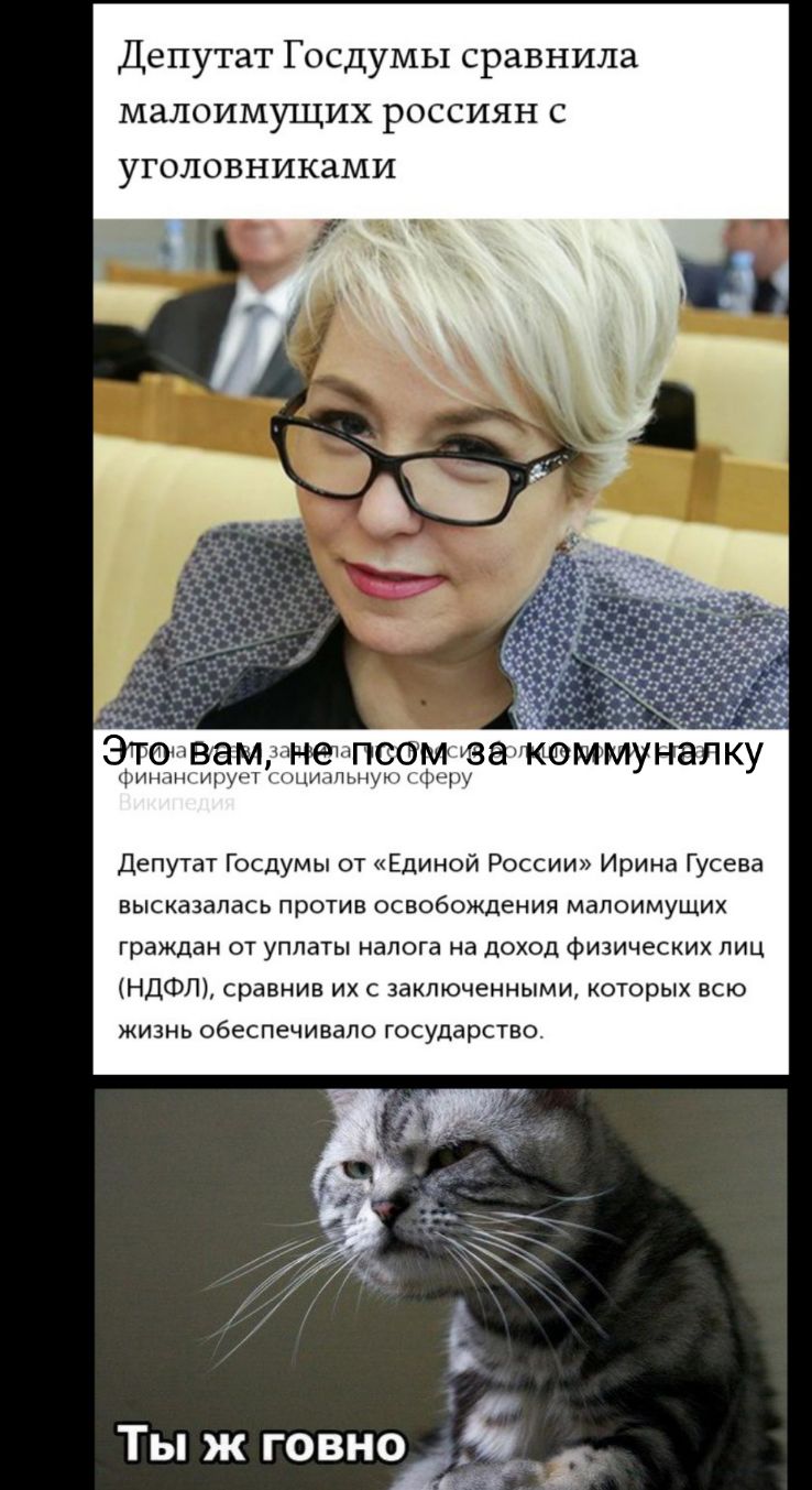 Депутат Госдумы сравнила малоимущих россиян с уголовниками Этомвамшн ел сомоакоммуналку крипл щихчт диньу Депутат Госдумы от Единой России Ирина Гусева высказалась против освобождения малоимущих граждан от уплаты налога на доход физических лиц НДФЛ сравнив их с заключенными которых всю жизнь обеспечивало государство Т ххх Ты ж говнъз 19