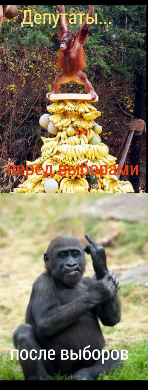 д