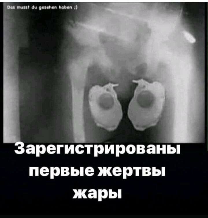 арегисірированы первые жертвы жары
