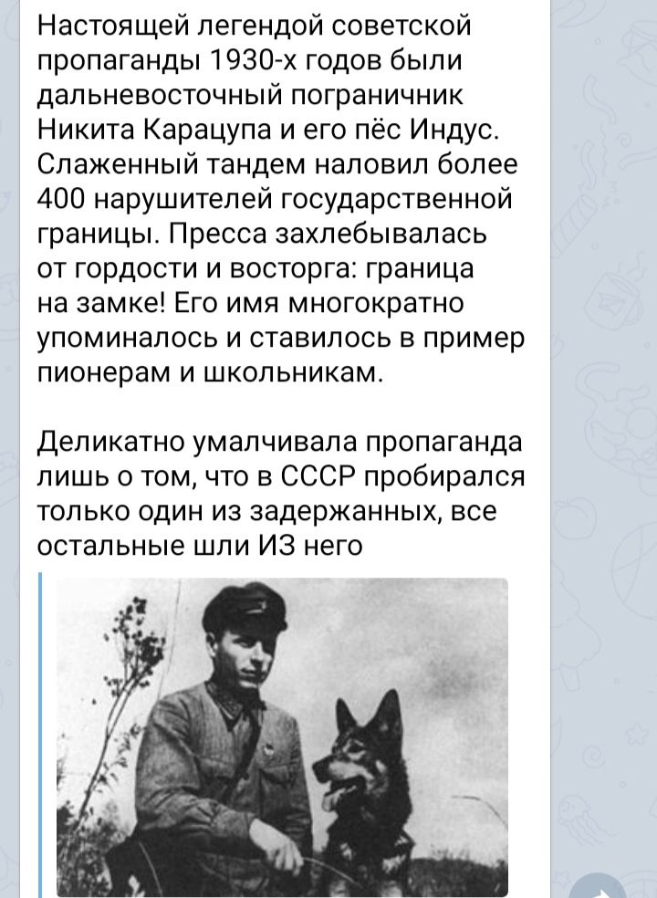 Настоящей легендой советской пропаганды 1930 х годов были дальневосточный пограничник Никита Карацупа и его пёс Индусе Слаженный тандем наловил более 400 нарушителей государственной границы Пресса захлебывалась от гордости и восторга граница на замке Его имя многократно упоминалось и ставилось в пример пионерам и школьникам Деликатно умалчивала пропаганда лишь о том что в СССР пробирался только од