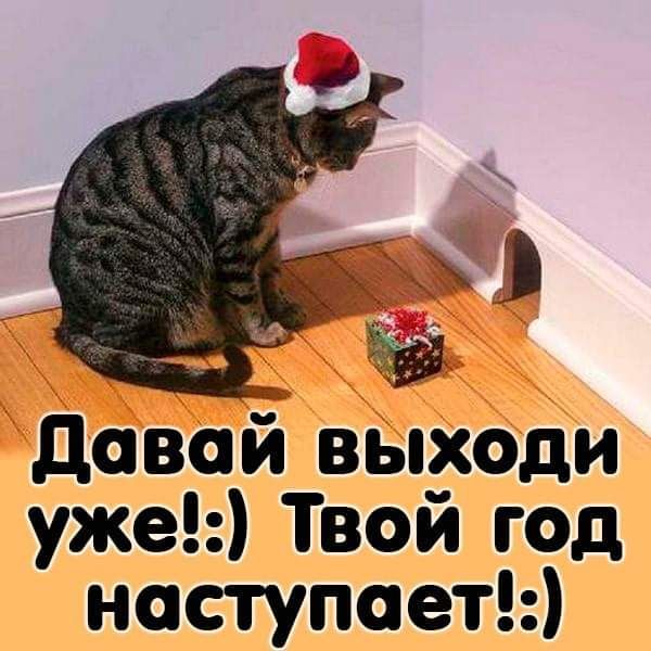 даваЁ вЫходи уже Твой год наступает