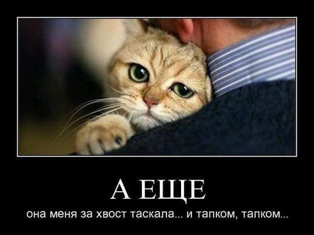 А ЕЩЕ она Меня 33 ХВОСТ таскала И ТЗПКОМ ТЗПК0М