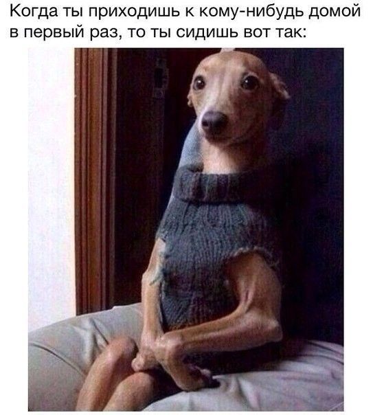 К да ты приходишь кому нибудь домой В первый раз ТО ТЫ СИДИШЬ ВОТ так