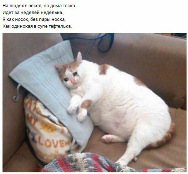 На людях я весел но дома тоска Идет за неделей недельке как носок без пары оска Как одинокая в упв нефтепька