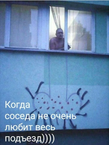 Когда соседа не очень любит весь псдъе3д