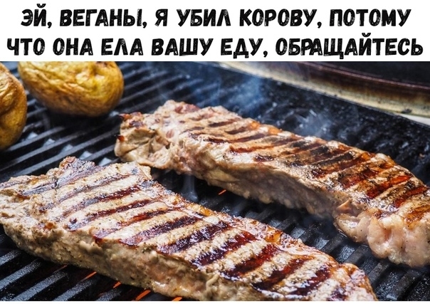 ЭЙ ВЕГАНЫ Я УБИА КОРОВУ ПОТОМУ ЧТО ОНА ЕАА ВАШУ БАУ ОБРАЩАЙТЕСЬ