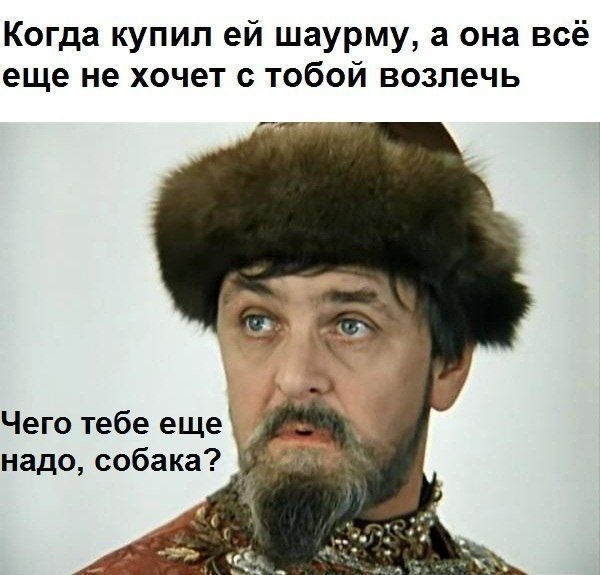 Когда купил ей шаурму а она всё еще не хочет с тобой возлечь Чего тебе еще надо собака