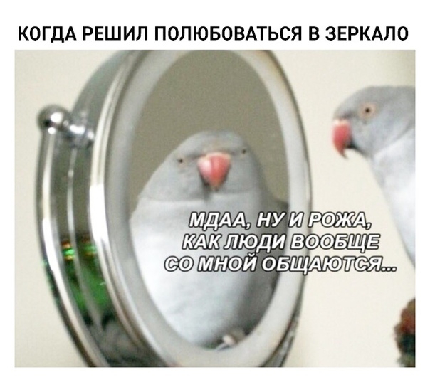 КОГДА РЕШИЛ ПОЛЮБОВАТЬСЯ В ЗЕРКАЛО
