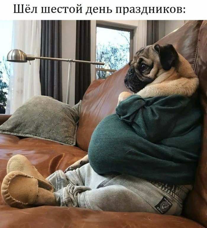 Шёл шестой день праздников