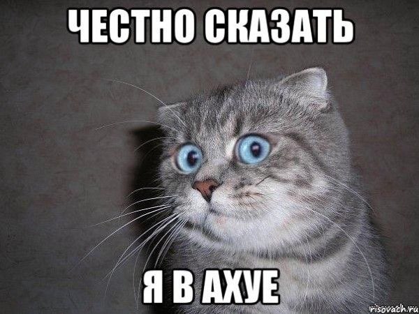 ЧЕВПЮ ШШЗАТЬ
