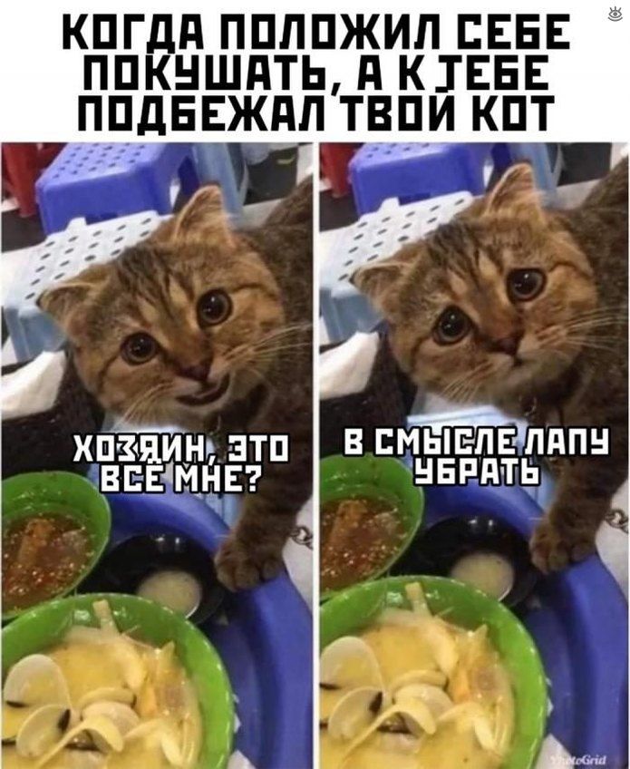 КП Гдд ППЛПЖИП ЕЕЕЕ ПП КН ШдТЬ ПКТЕЕЕ ПП дБ ЕЖдЛ ТВПИ КПТ В ЕМЫЕПЕЛППН нвцд ть ХПЪЯИНЬ ЭТП ВЕЕ МНЕ