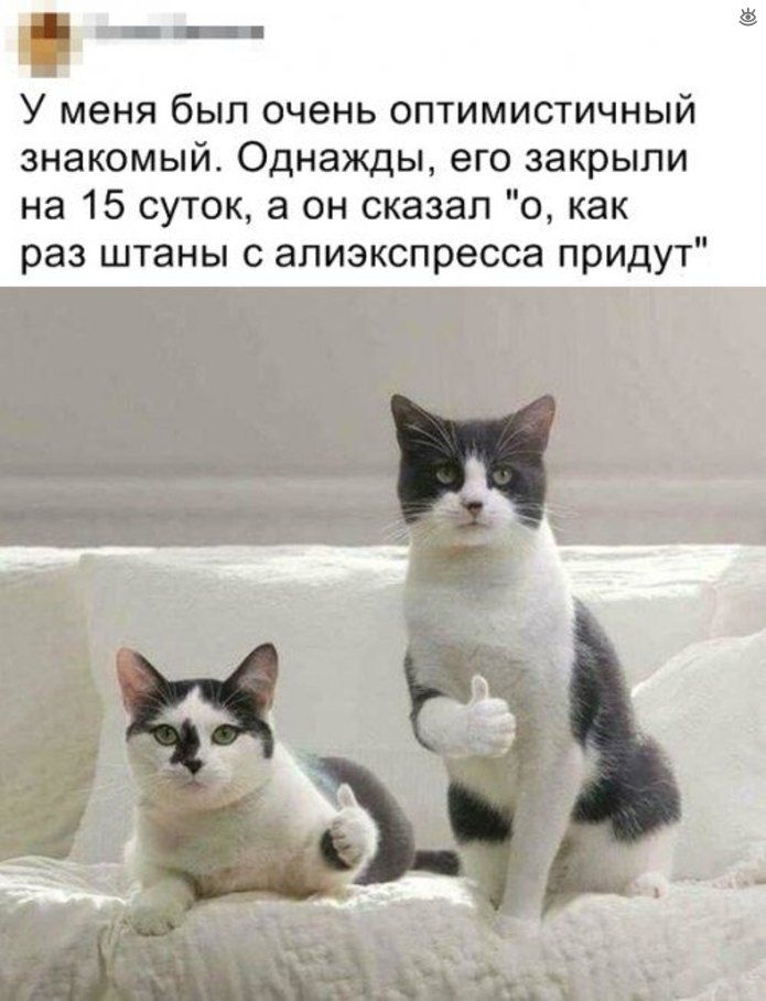 У меня был очень оптимистичный знакомый Однажды его закрыли на 15 суток а он сказал о как раз штаны с апиэкспресса придут