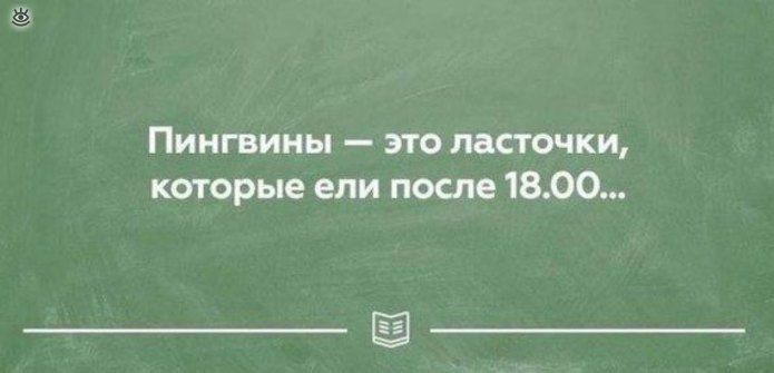 Пингвины это ласточки которые ели после 1800
