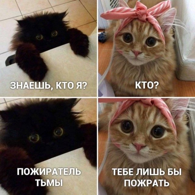 е Аічф 0 ТЕБЕ лишь вы пожить