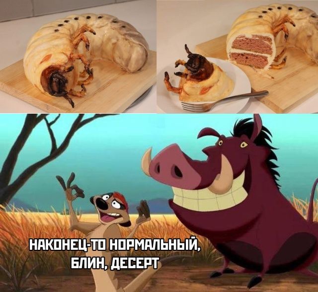 нпкпнвцддп нппмдпьный Блин двп и ЧЗ