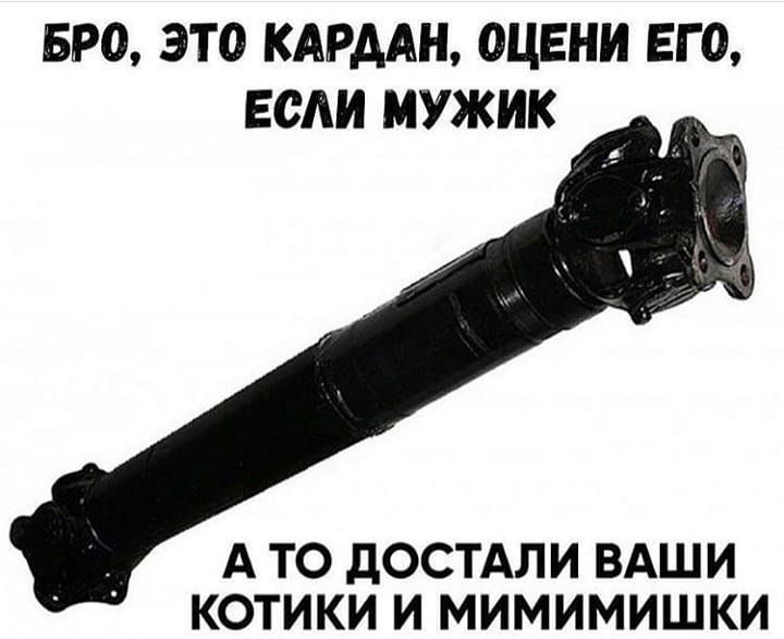 БРО это кдмдн оцени его если мужик __ А ТО дОСТАЛИ ВАШИ КОТИКИ И МИМИМИШКИ