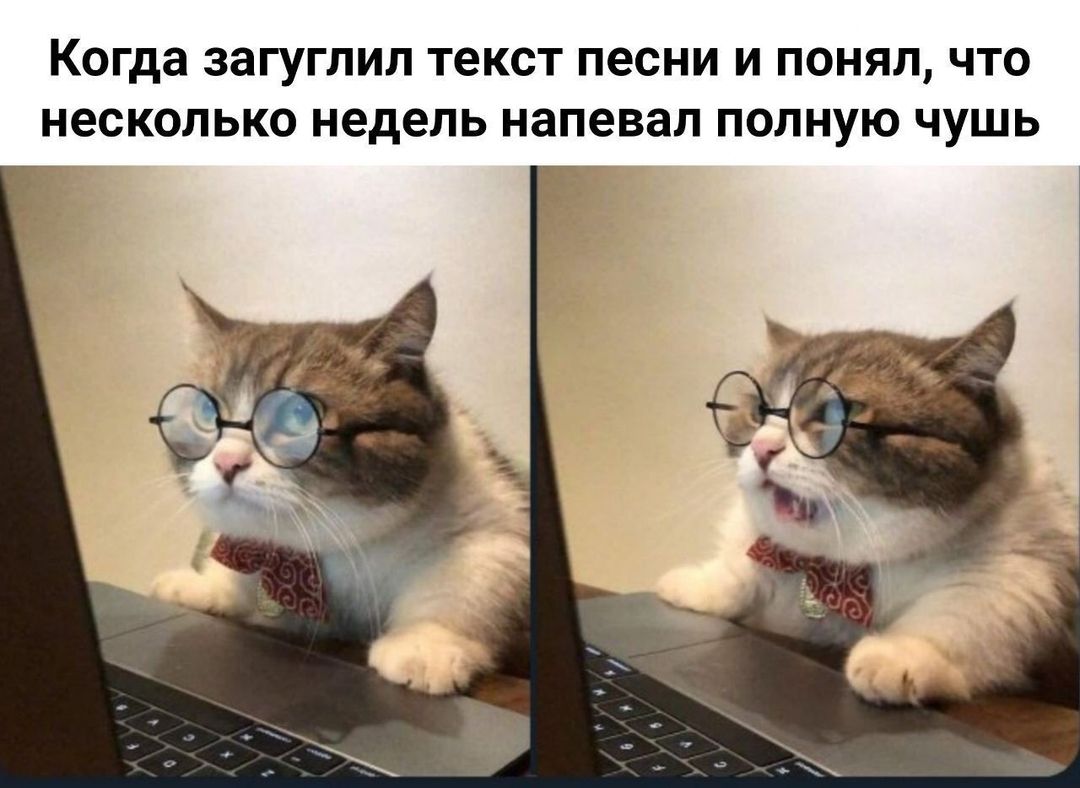 Когда ЗЗГУГЛИЛ текст песни И ПОНЯЛ ЧТО несколько недель напевал ПОЛНУЮ ЧУШЬ