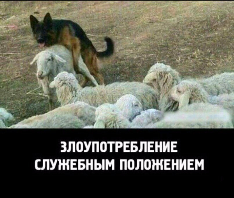 ЗЛОУПОТРЕБЛЕНИЕ СЛУЖЕБНЫМ ПОЛОЖЕНИЕМ