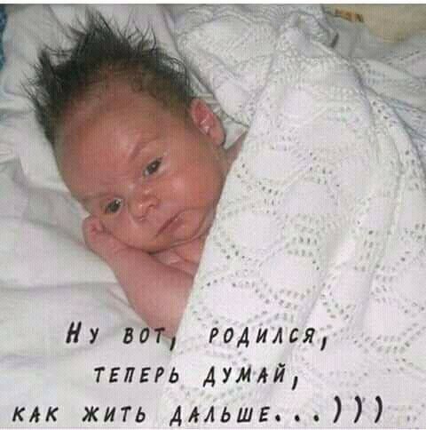 годился тепрь дум Ай клк жить дмьшв 7