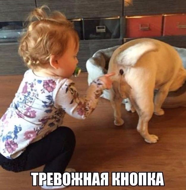 тщожндя ннопнд