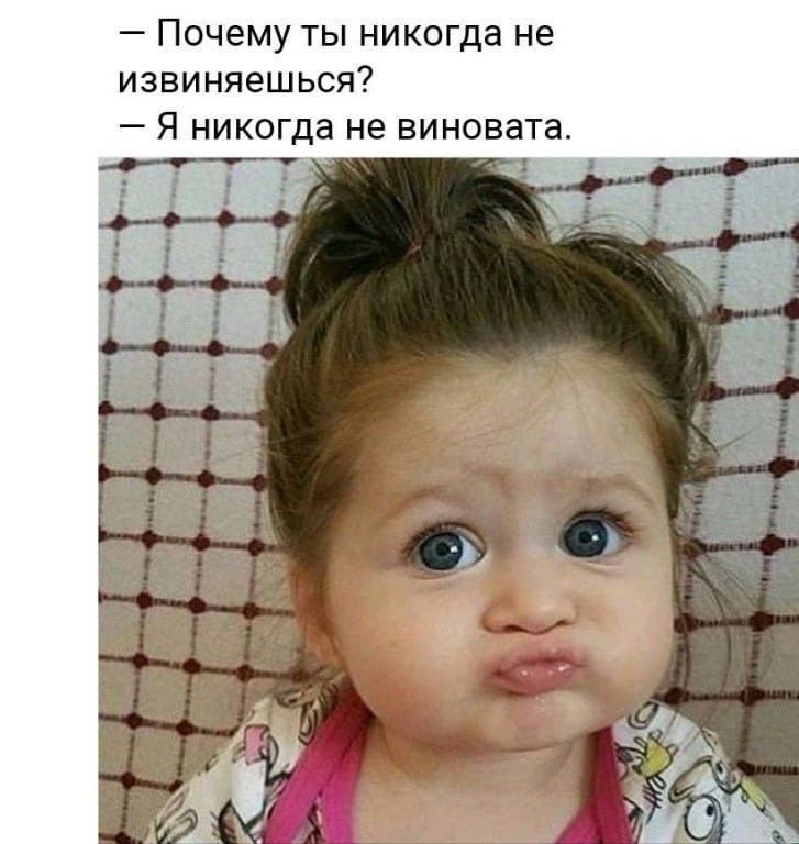 Почему ты никогда не извиняешься _ Я никогда не виновата