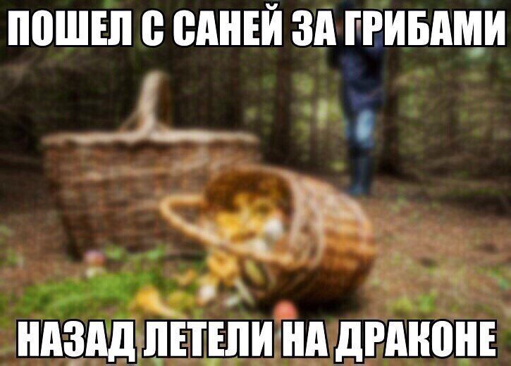 0ШЕЛ В ВИИЕИ зд ГРИБАМИ ъц т ИАЗДЩЩЕЁПИ Ид дРМЮИЕ