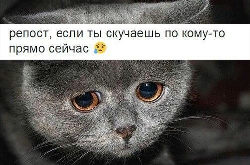 репост если ты скучаешь по кому то прямо сейчас