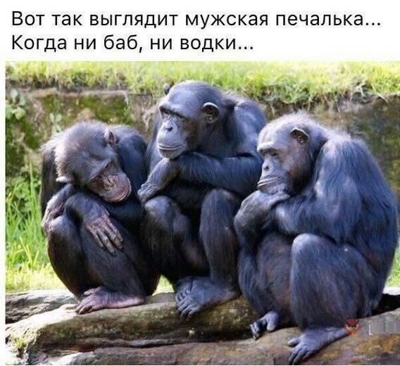 Вот так выглядит мужская печапька Когда ни баб ни водки