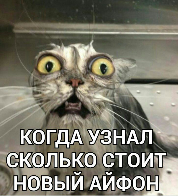 _о А _ 1 _1 КЖ ко гдАЁЁЁЪл ёйолькостоит