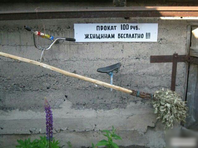 ппаидт по щищищм шпмтиа Ш