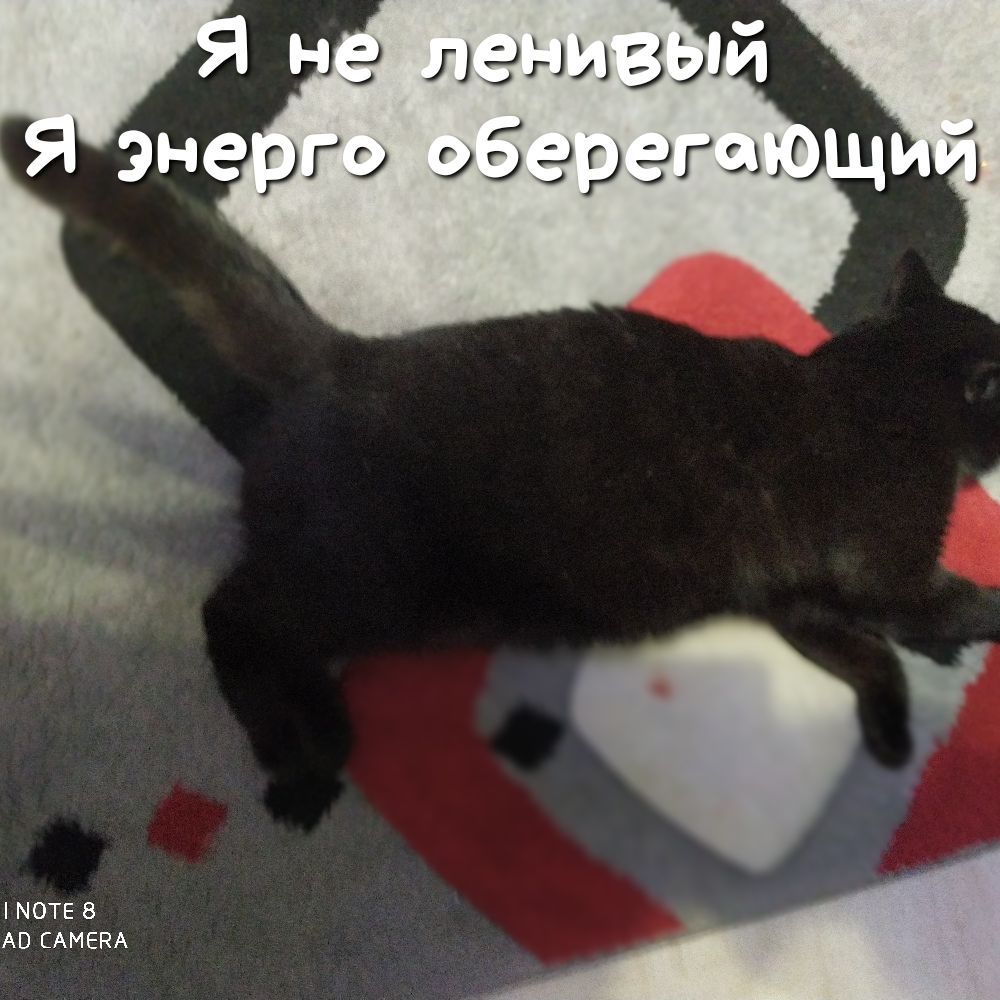 МОТЕ В АЕ ЕАМЕЕА