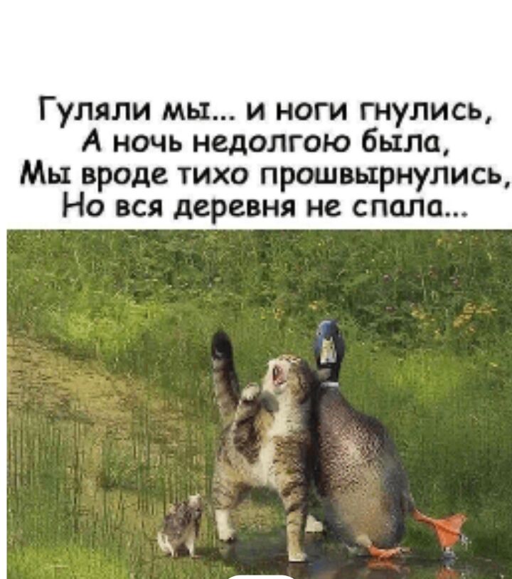 Гуляли мы и ноги гнулись А ночь недолгою было Мы вроде тихо прошвьгрнулись Но вся деревня не спала