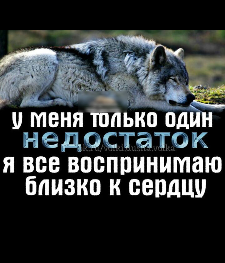 меня Шаько один недостаток я все воспринимаю близко к сепдш