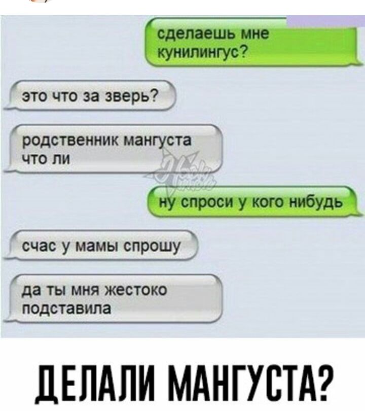 это что за зверь РОДСТВВННИК мангуста ЧТО ЛИ ________ счас у мамы спрошу __________ да ТЫ МНЯ ЖЕСТОКО подста вила ДЕПАПИ МАНГУСТА