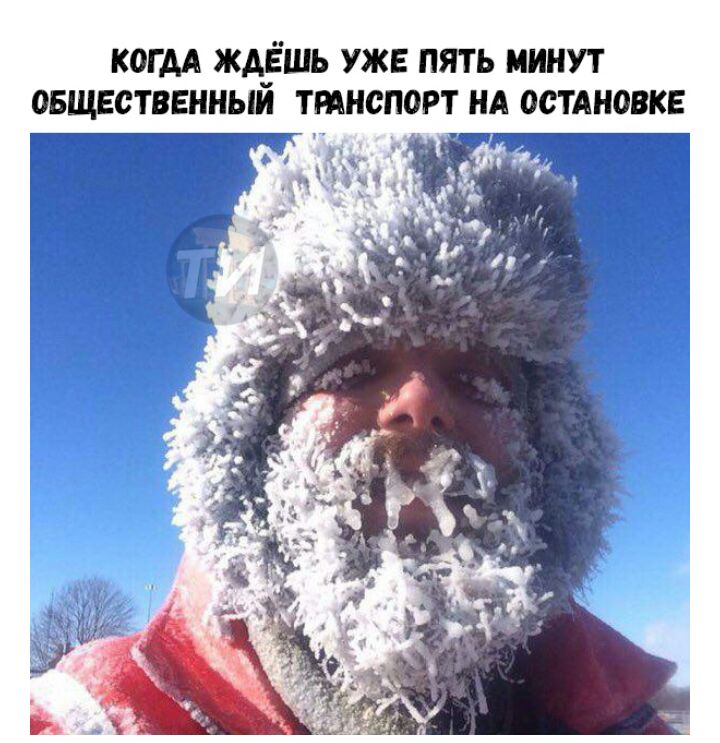 когм ждёшь уже пять минут овществвнньш тмнспорт нд остдновкв и
