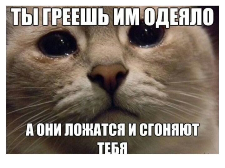 ТЫ ГРЕЕШЬ ИМ ПДЕЯЛП А они ППЖМВН И ШШШЮТ