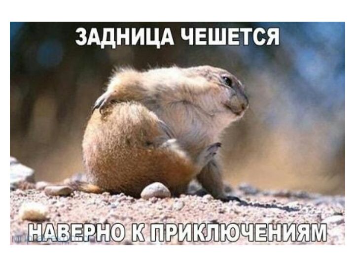 ЗАДНИЦА ЧЕШЕТСЯ