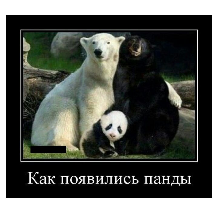 Как ПОЯВИЛИСЬ ПЗНДЫ