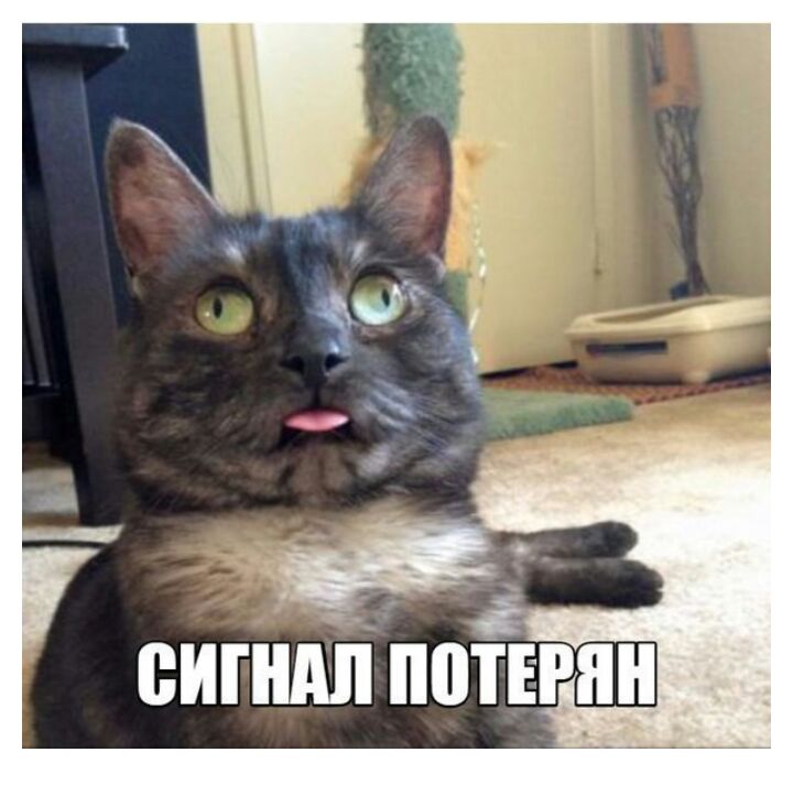 еигндп поп гии